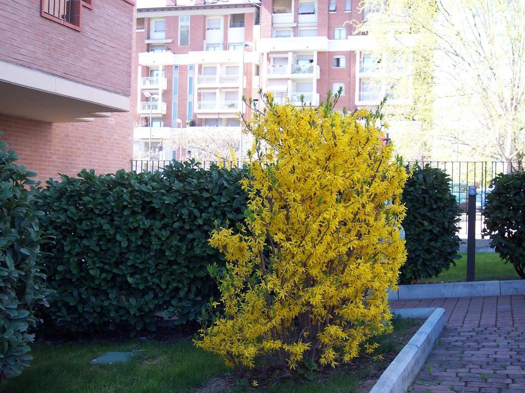 B&B Il Parco Parma Esterno foto